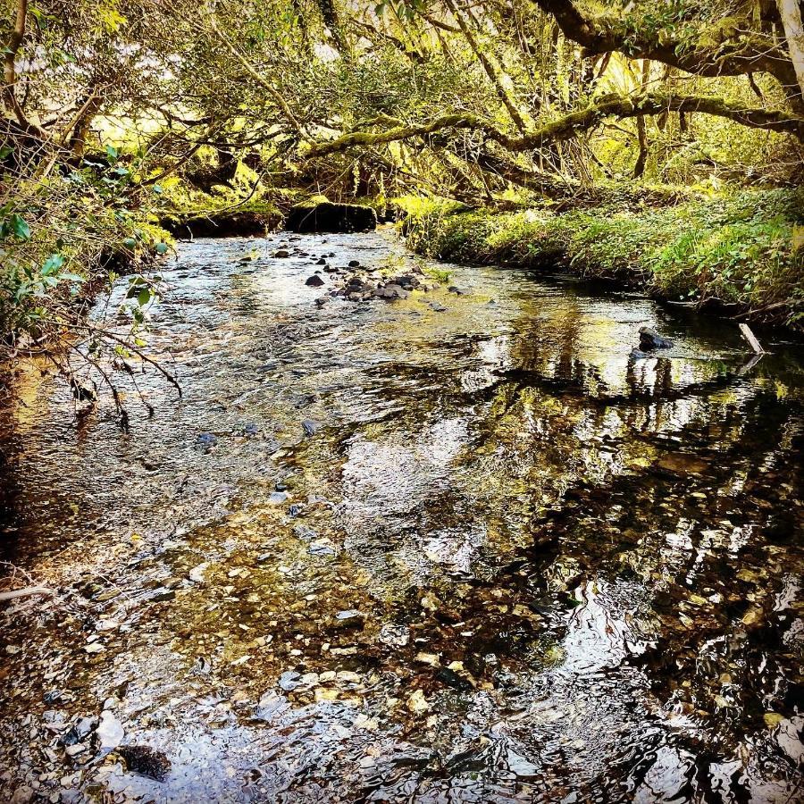 Stepping Stones Glamping Little Red Hotel Bantry Kültér fotó