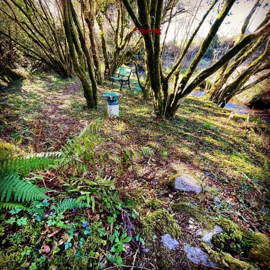 Stepping Stones Glamping Little Red Hotel Bantry Kültér fotó