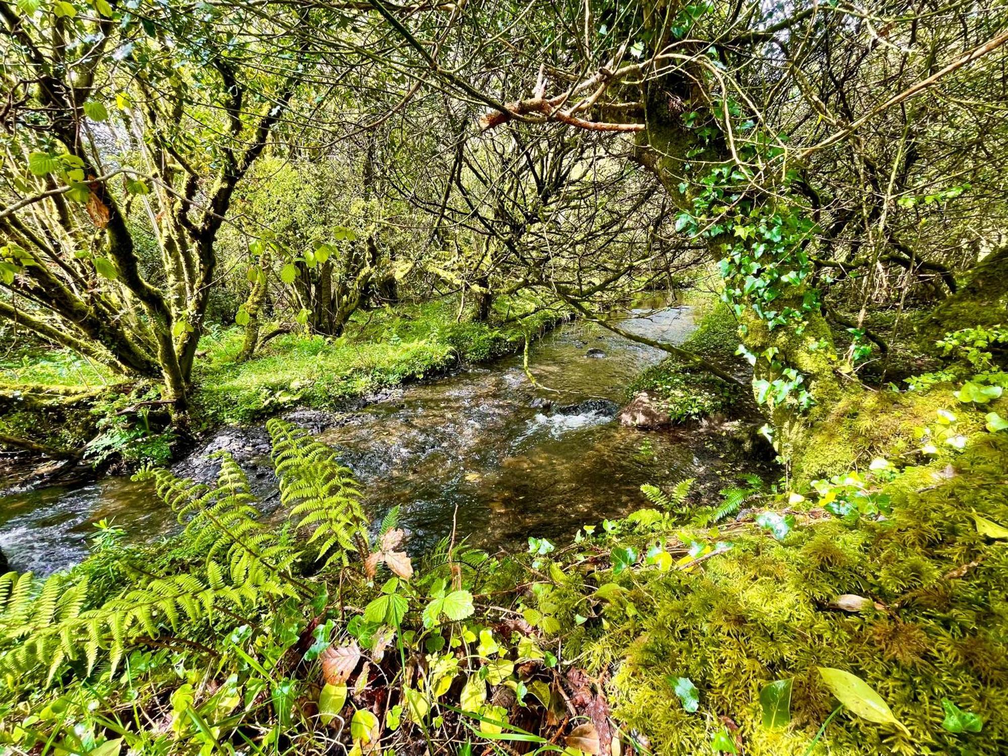 Stepping Stones Glamping Little Red Hotel Bantry Kültér fotó